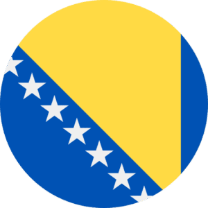 Bosnia and Herzegovina Flag